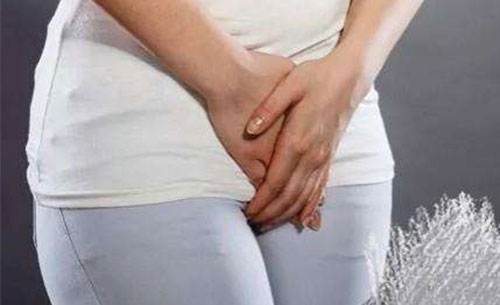 ����������ʲôԭ�� ����Ԥ����������